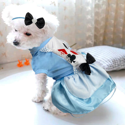 ¡Tu peludo también merece disfrazarse! | Disfraces Para Mascotas - Envío Gratis