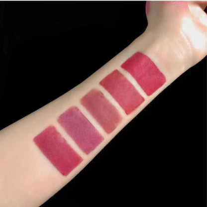 Lápiz Labial 5 en 1 tonos nudes