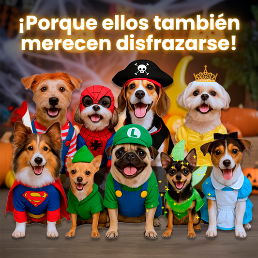 ¡Tu peludo también merece disfrazarse! | Disfraces Para Mascotas - Envío Gratis