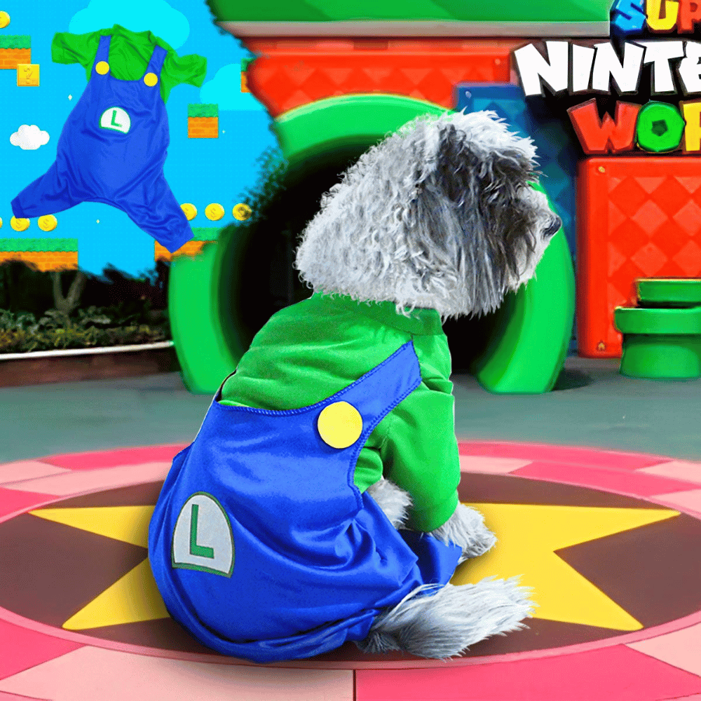 ¡Tu peludo también merece disfrazarse! | Disfraces Para Mascotas - Envío Gratis