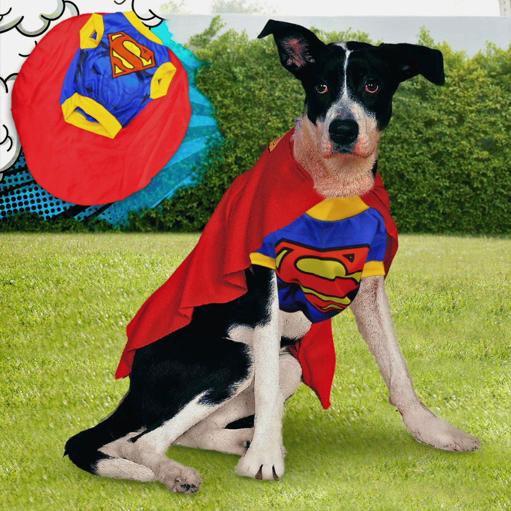 ¡Tu peludo también merece disfrazarse! | Disfraces Para Mascotas - Envío Gratis