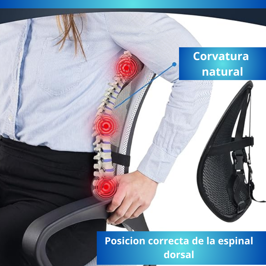 Soporte lumbar ergonómico