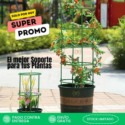 Soporte para Flores y Plantas Enredaderas