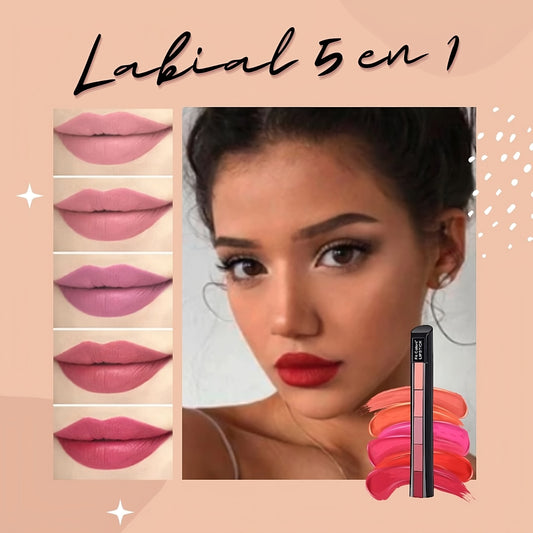 Lápiz Labial 5 en 1 tonos nudes